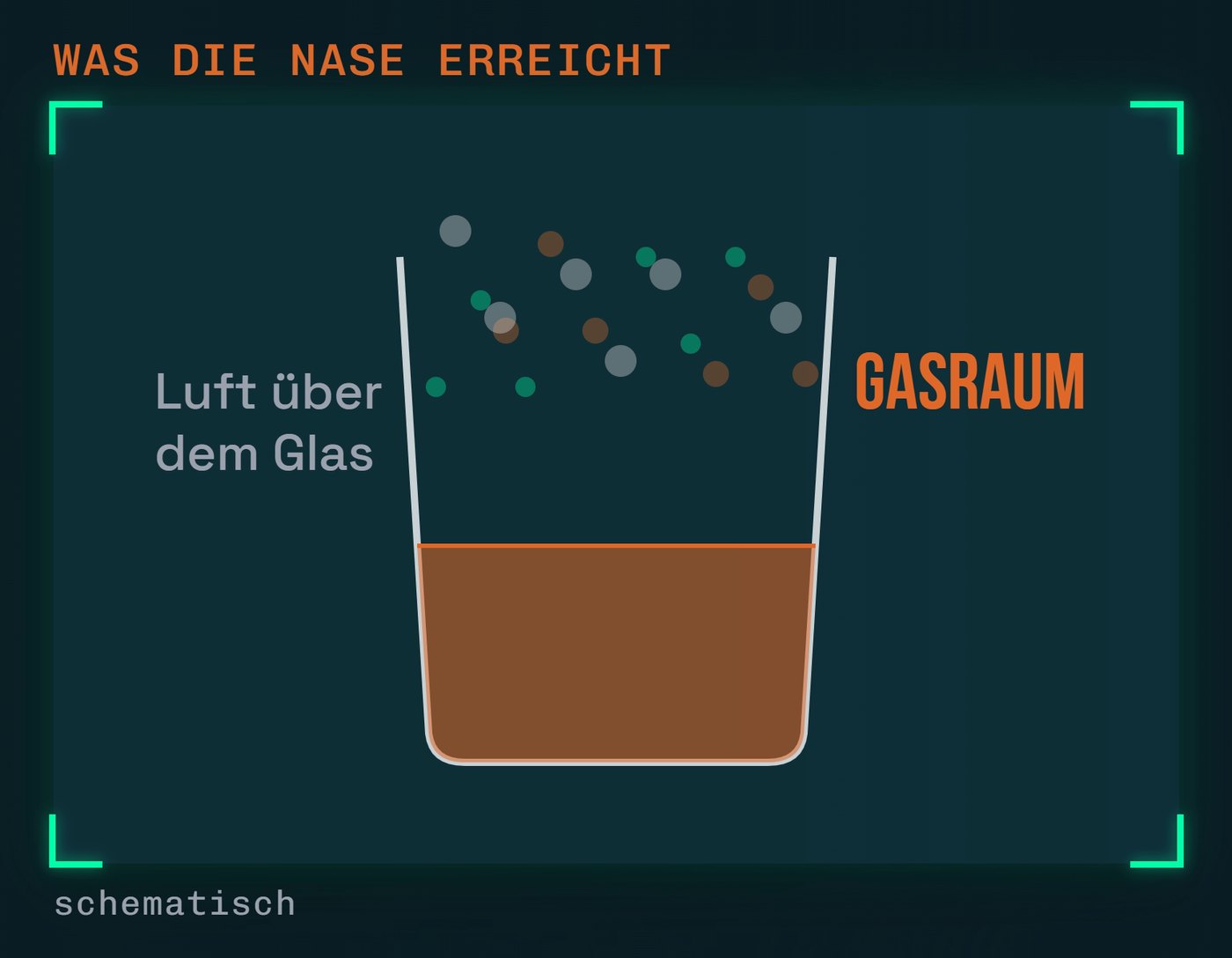 Der Gasraum: Riechen kann man nur, was aus dem Glas aufsteigt (schematisch)