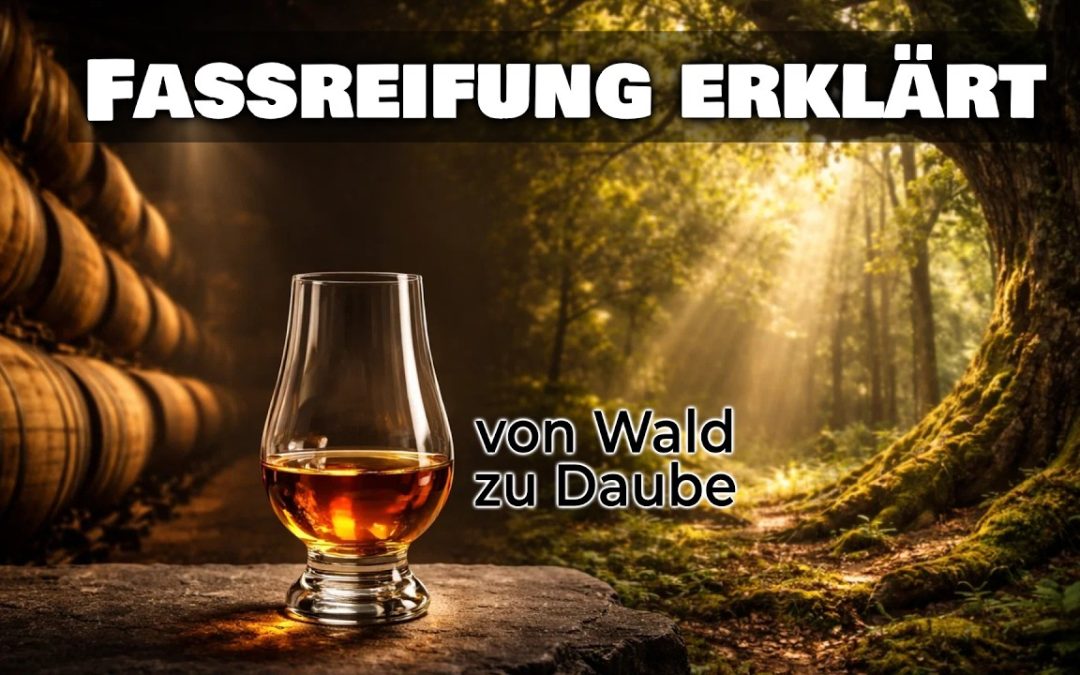 Vom Wald zur Daube Fassreifung erklärt (1 / 7)