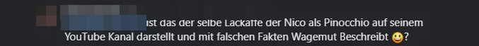 Screenshot des Kommentars zu „falschen Fakten“, Namen unkenntlich